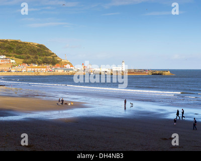 Menschen zu Fuß ihre Hunde auf Süden Strand Scarborough North Yorkshire England UK an einem windigen Herbsttag Stockfoto