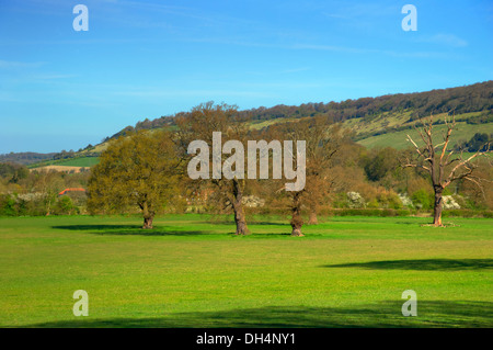 Surrey Hills, Box Hill Sonnenuntergänge Stockfoto