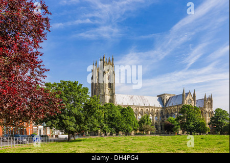 Die alten 13. Jahrhundert Beverley Minster auf ein schöner sonniger Morgen im East Riding of Yorkshire, UK. Stockfoto