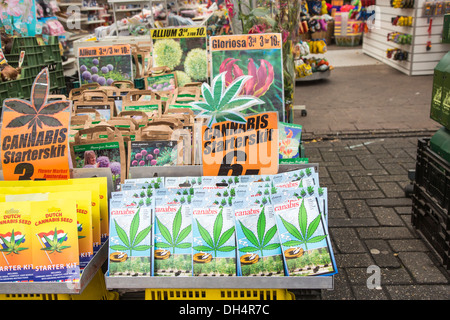 Pakete von Cannabis-Samen zum Verkauf als touristische Souvenirs auf der Amsterdamer Blumenmarkt, Holland Stockfoto