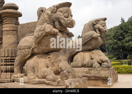 Paar Kolosse, Löwe-auf-Elefant. Haupteingang-Schritte. Konark Sun Temple, Orissa, Indien. UNESCO-Weltkulturerbe. Stockfoto