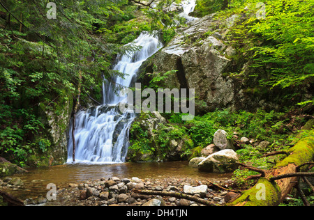 Wedge Brook fällt mehr als 50' in einem klaren, felsigen Pool am Upper Wedge Brook Falls in den Adirondack Mountains of New York Stockfoto