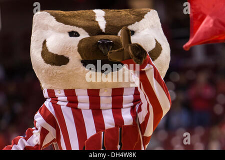 Madison, Wisconsin, USA. 30. Oktober 2013. 30. Oktober 2013: Wisconsin Badgers Maskottchen Bucky Badger bei den NCAA Ausstellung Basketball-Spiel zwischen UW-Platteville Pioniere und die Wisconsin Badgers. Die Dachse besiegte die Pionieren 80-51 im Kohl Center in Madison, Wisconsin. John Fisher/CSM/Alamy Live-Nachrichten Stockfoto