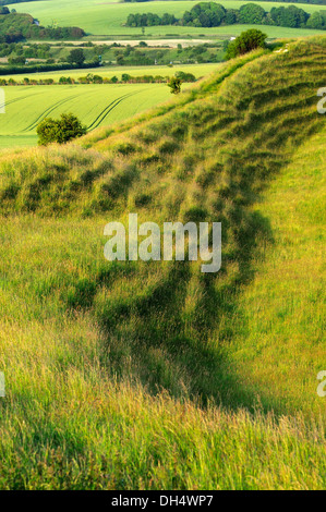 Eisen Sie Alter Burgberg, Maiden Castle, in der Nähe von Dorchester, Dorset Stockfoto