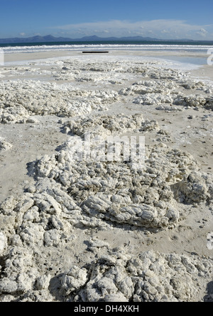 Weißer Schaum am Strand von Alcudia Stockfoto