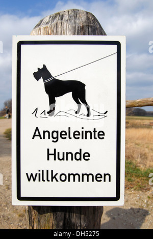 Zeichen, Angeleinte Hunde Willkommen, Deutsch für Leashed Hunde willkommen, am Eingang zum Naturschutzgebiet Geltinger Birk Stockfoto