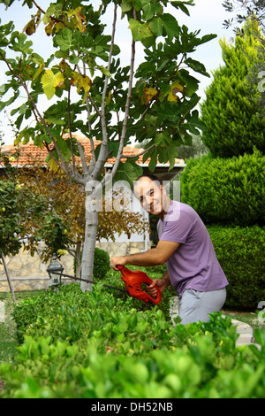 Mann Beschneidung Strauch im Garten mit elektrischen Beschneiden-Werkzeug Stockfoto