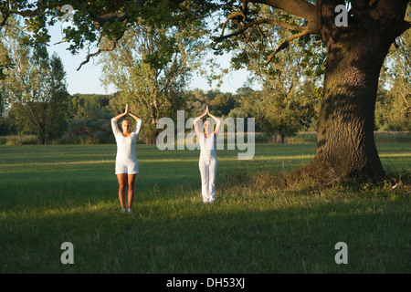 Zwei junge Frauen, die Yoga-Übungen unter einem Baum Stockfoto