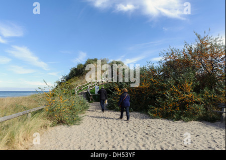 Schmiedeberg (Erkenntnisse Schloss-Hügel) in Rerik, Mecklenburg hierher Pommern, Deutschland Stockfoto