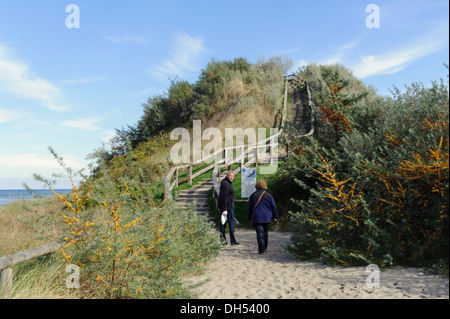 Schmiedeberg (Erkenntnisse Schloss-Hügel) in Rerik, Mecklenburg hierher Pommern, Deutschland Stockfoto