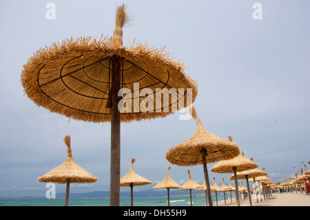 Palma De Mallorca, ist die Metropole und Hauptstadt der Provinz autonome Gemeinschaft der Balearen in Spanien Stockfoto