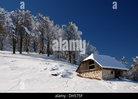 Landschaft im Winter, Rumänien. Karpaten Stockfoto