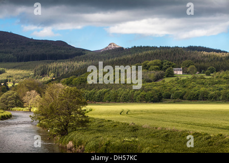 Blick über Lords Kehle bis Bennachie in der Nähe von Monymusk In Aberdeenshire in Schottland Stockfoto