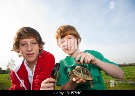 Zwei jungen, die eine Schildkröte mit einer Lupe untersuchen Stockfoto