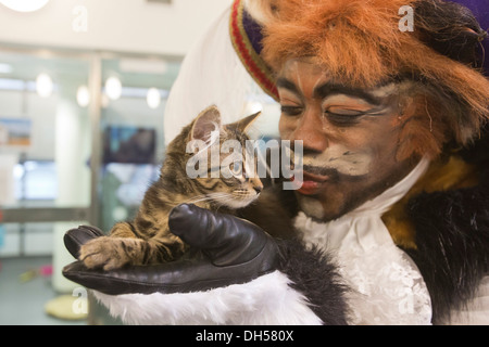 Puss in Boots Panto Charakter spielt mit Kätzchen in die Zucht von Battersea Hunde & Katzen zuhause, Xmas Panto im Hackney Empire Stockfoto