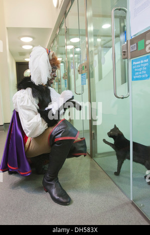 Puss in Boots Panto Charakter spielt mit Kätzchen in die Zucht von Battersea Hunde & Katzen zuhause, Xmas Panto im Hackney Empire Stockfoto