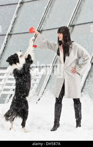 Border Collie stehend stehend auf Hinterbeinen vor einer jungen Frau im Schnee, Österreich Stockfoto