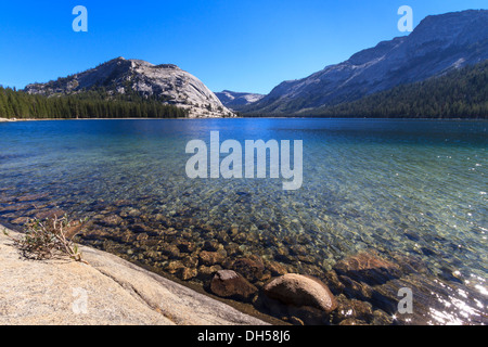 Yosemite National Park, Blick auf Lake Tenaya (Tioga Pass), California Stockfoto