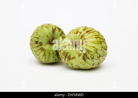 Cherimoya. Zwei Vanillepudding Äpfel auf einem weißen Hintergrund. Stockfoto