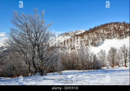 Winter auf dem Berg aus Mazedonien - Europa Stockfoto