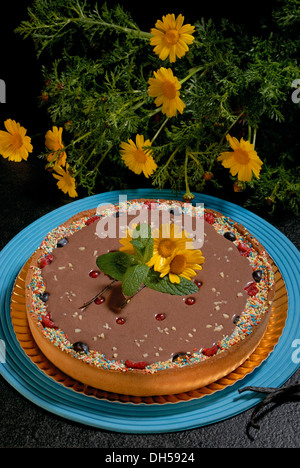 Schokolade Creme Kuchen Stockfoto