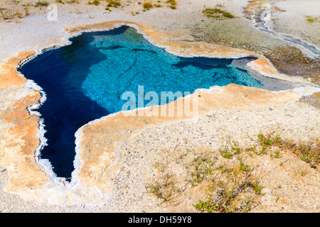 Yellowstone National Park, Blue Star Frühjahr Geysir im oberen Geysir-Becken, Wyoming Stockfoto