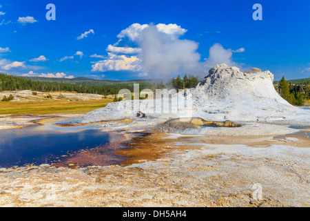 Castle-Geysir, Yellowstone-Nationalpark (Upper Geyser Basin), Wyoming Stockfoto