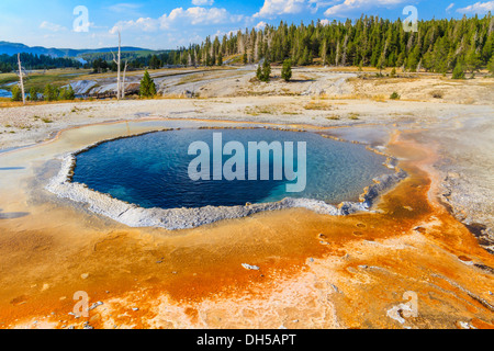 Crested Pool Geysir, Yellowstone-Nationalpark (Upper Geyser Basin), Wyoming Stockfoto