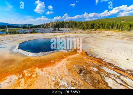 Crested Pool Geysir, Yellowstone-Nationalpark (Upper Geyser Basin), Wyoming Stockfoto