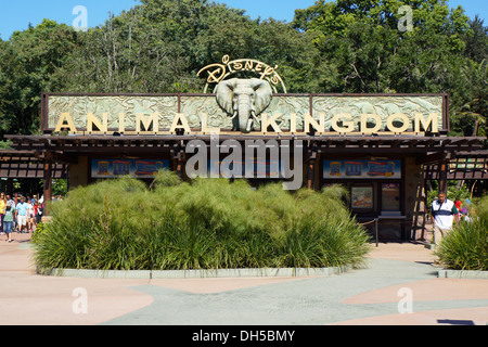 Animal Kingdom Theme Park Eingang, Disney World Resort Orlando Florida Stockfoto