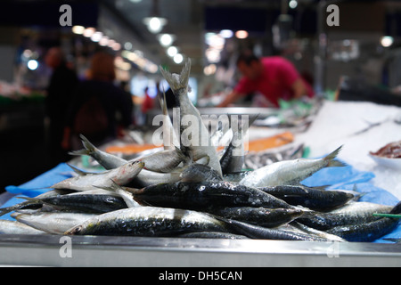 Fisch gesehen auf einem lokalen Markt auf der Insel Mallorca, Spanien Stockfoto