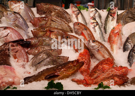 Fisch gesehen auf einem lokalen Markt auf der Insel Mallorca, Spanien Stockfoto