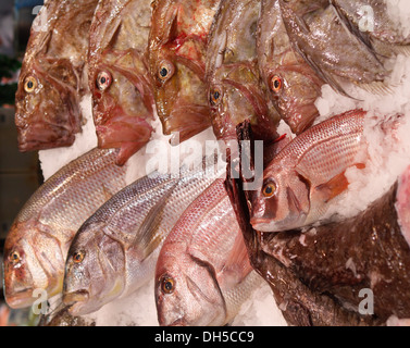 Fisch gesehen auf einem lokalen Markt auf der Insel Mallorca, Spanien Stockfoto