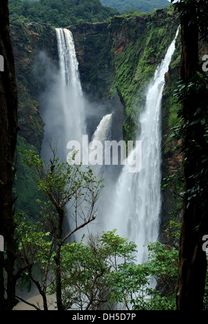 Joggen Sie Wasserfälle, Karnataka, Indien. Jog-Fälle ist der höchste Wasserfall in Indien. Stockfoto