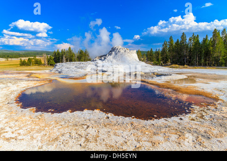 Castle-Geysir, Yellowstone-Nationalpark (Upper Geyser Basin), Wyoming Stockfoto