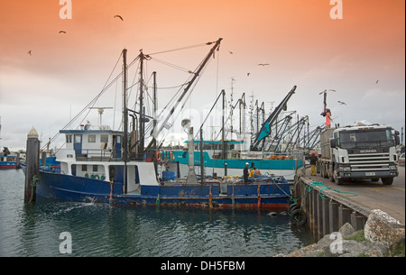 Fischerei Trawler entladen fangen im Hafen von Port Lincoln am Eyre Peninsula South Australia Stockfoto