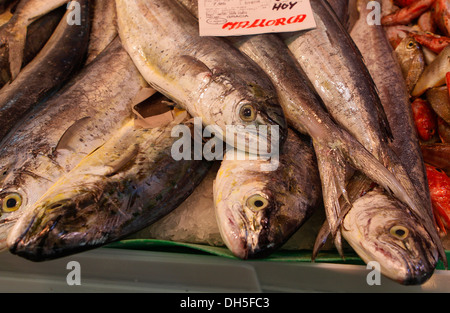 Fisch gesehen auf einem lokalen Markt auf der Insel Mallorca, Spanien Stockfoto