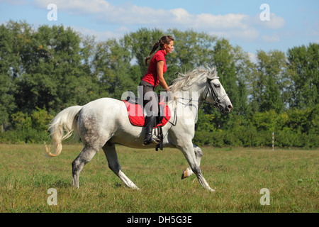 Teenager-Mädchen weiß Reitpferd im Park erhellen durch Sonnenlicht Stockfoto