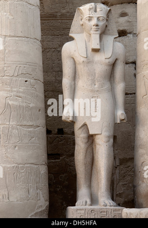 architektonisches Detail der antiken Skulptur Luxor-Tempel in Ägypten (Afrika) einschließlich einer pharaonischen Stockfoto