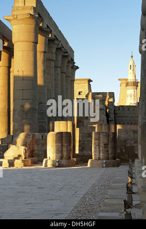 architektonische Details von dem alten Luxor-Tempel in Ägypten (Afrika) am Abend Stockfoto