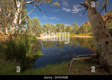 Malerischen Outback-Landschaft mit blauen Pool / Oase am Ellery Creek Big Hole in West MacDonnell reicht in der Nähe von Alice Springs NT Stockfoto