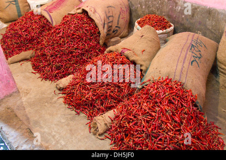 Getrocknete Chilischoten, Taschen, spice Market, Old Dhaka, Dhaka, Bangladesch, Südasien Stockfoto