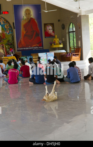 Buddhisten beten in einem Tempel Hund liegend auf dem Rücken und streckt seine Pfoten in die Luft dahinter Rajban Bihar Pagode Stockfoto