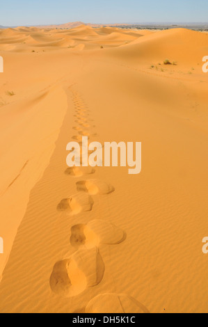 Spuren in den Sand Dünen, Erg Chebbi, Marokko, Afrika Stockfoto