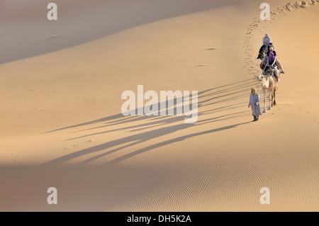 Kameltrekking, Erg Chebbi, Marokko, Afrika Stockfoto
