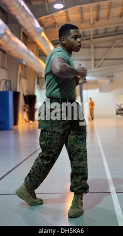 Sergeant Butch Fortner, ein Marine Corps Martial Arts Program Instructor mit Schwarzmeer Rotations Kraft 14 und diese Woche Marine der Woche zeigt einen "Haken" während seiner MCMAP Klasse auf Mihail Kogalniceanu, Rumänien, 25. Oktober 2013. BSRF-14 Marines sind Stockfoto