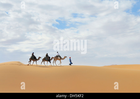 Kameltrekking, Erg Chebbi, Marokko, Afrika Stockfoto