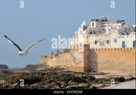 Sqala De La Kasbah, Malecon am alte von Essaouira, Mogador, UNESCO World Heritage Site, Marokko, Afrika Stockfoto