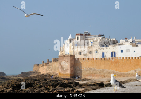 Sqala De La Kasbah, Malecon am alte von Essaouira, Mogador, UNESCO World Heritage Site, Marokko, Afrika Stockfoto