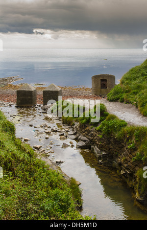 Kimmeridge Bay, Dorset, England, Vereinigtes Königreich. Seetang bedeckt die Felsen im Vordergrund. Stockfoto